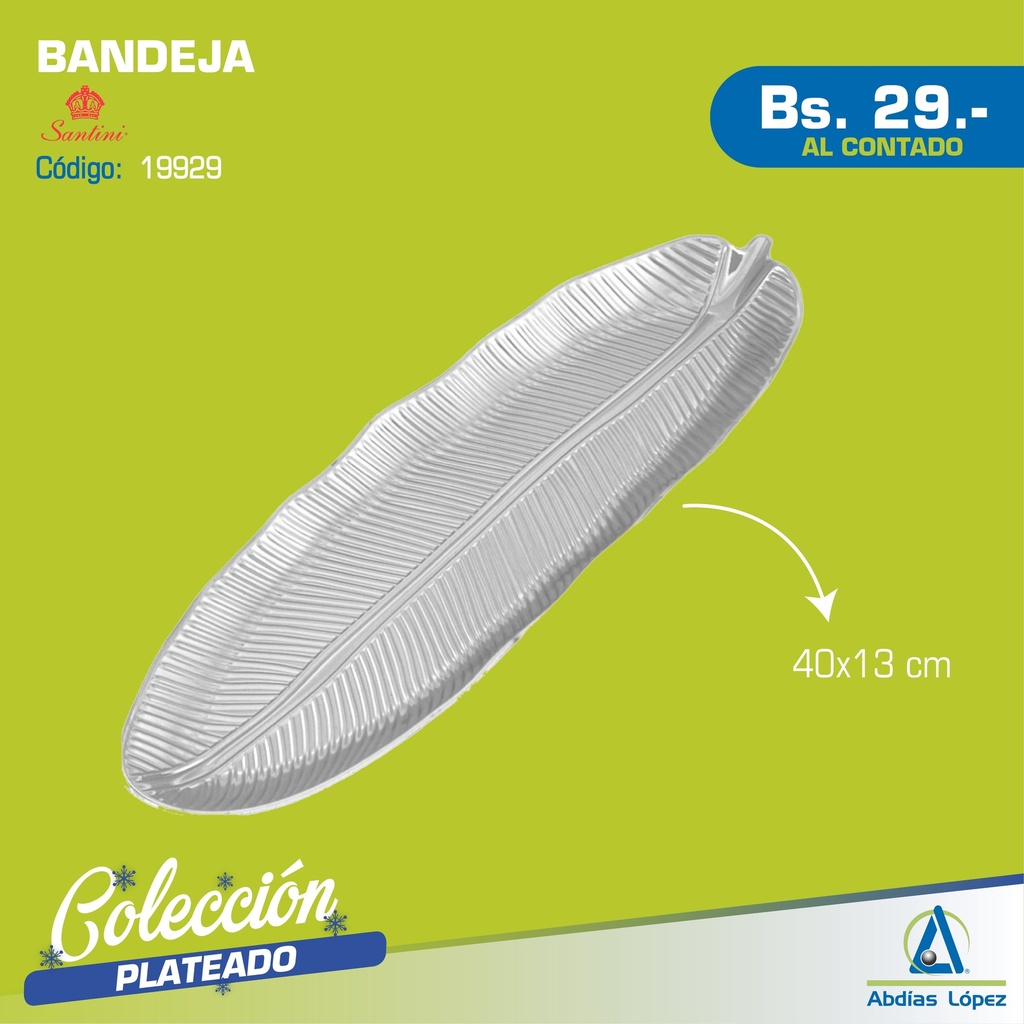 BANDEJA 40X13X3CM