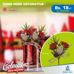 [I-19875] RAMA DECOR 21X21X7CM