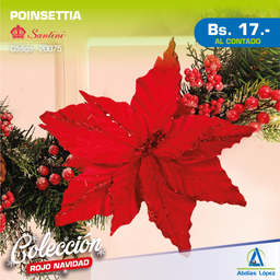 [I-20075] POISENTIA 30X30CM ROJO